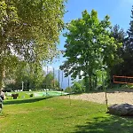Vista